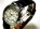Копия часов ZENITH EL PRIMERO, копии часов, наручные часы с автоподзаводом sgalery 2