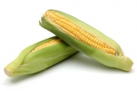 Наномикс кукуруза (Обработка семян) medium