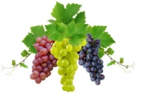 Наномикс-виноград medium