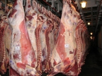 Мясо быка 95+ в полутушах