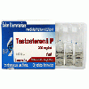 Testosterona P 1m 100 mg/ml