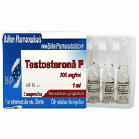 Testosterona P 1m 100 mg/ml medium